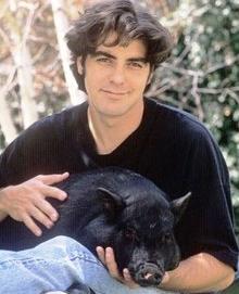 Description: Description: Description: http://upload.wikimedia.org/wikipedia/en/9/9c/George_Clooney_with_Max_1990.jpg